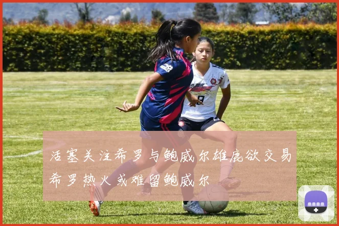 活塞关注希罗与鲍威尔雄鹿欲交易希罗热火或难留鲍威尔
