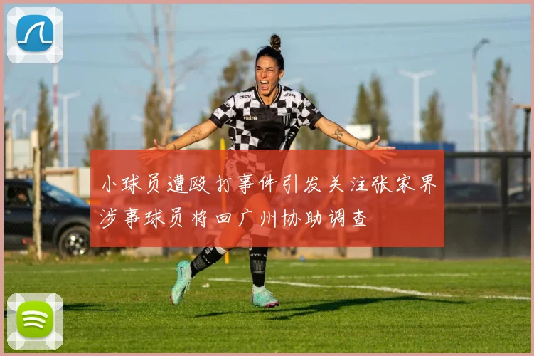 小球员遭殴打事件引发关注张家界涉事球员将回广州协助调查